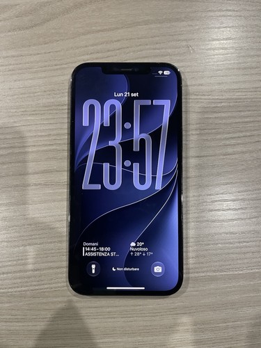 Apple iphone pro max 256 - 12,