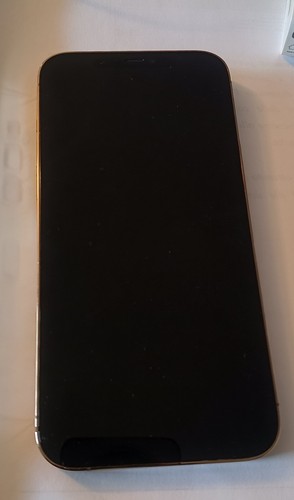 Iphone pro max pari al - 12,